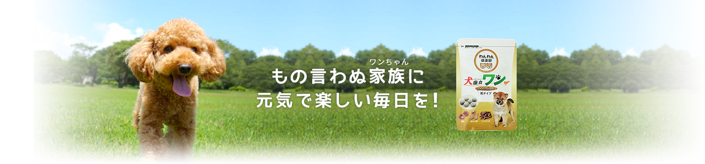 もの言わぬ家族に元気で楽しい毎日を!