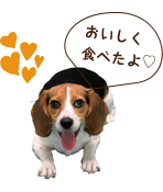 犬康食ワンPremiumジャーキータイプ