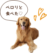 6歳以上のワンちゃんにおすすめ犬康食ワンPremium