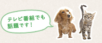 テレビ番組でも話題です
