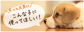 こんな子（犬）に使ってほしい