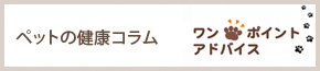 ペットの健康コラム