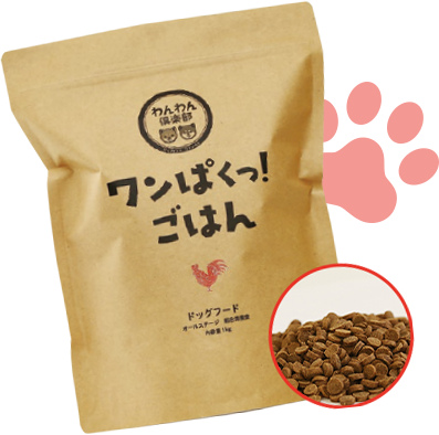 ワンぱくっ！ごはん