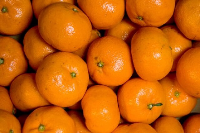 みかんの薄皮やスジの食物繊維は愛犬に要注意！一日の目安量と正しい与え方