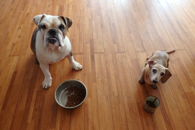 02dfe8ae94f9c5a609732fd8a057d756_s