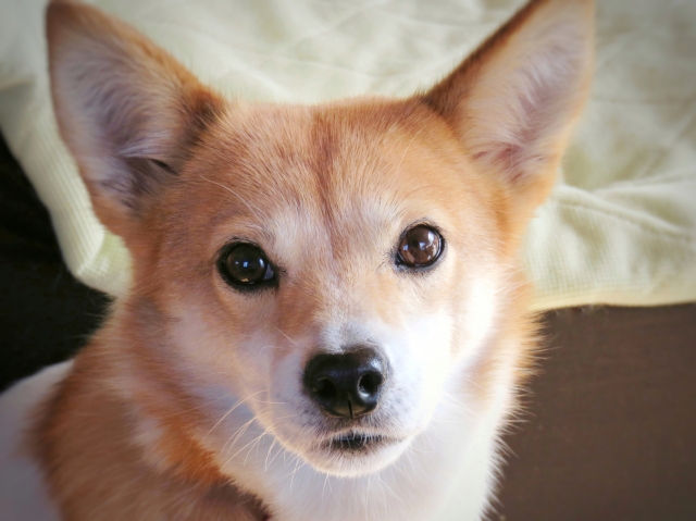 0669f0c04a32f587ca717a957457b797_s