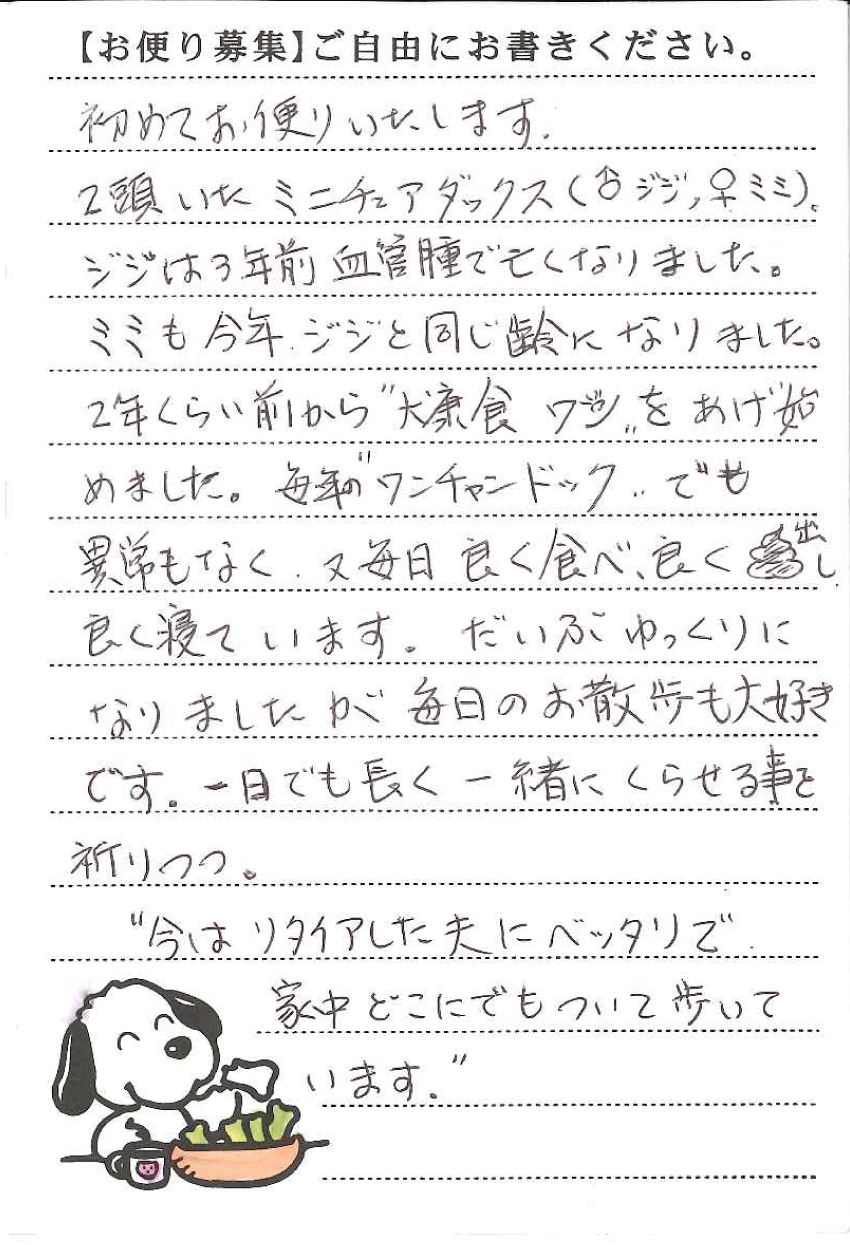 ミミちゃん 画像1