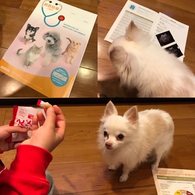 0D1A9CBD-8E19-4DB1-98A4-A00CFBD3AF23