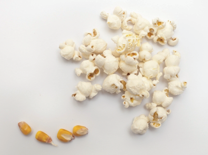 ドッグフードの発泡