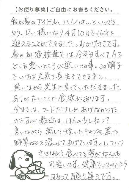 サムネイル画像