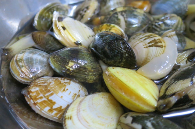 1046c51053a28329c9ad3ef1b4d2eeee_s