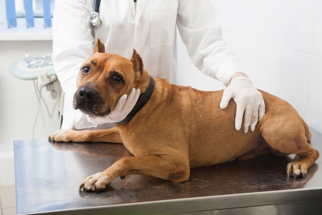 12f4afae6f2335011581084da1c26c21_s