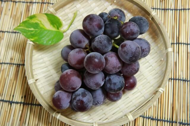 172bef3b665ed3ec7abc4ab1d795b01d_s