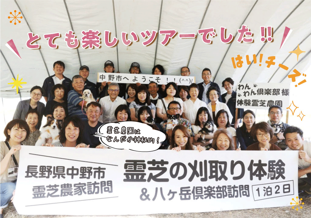 186e46fe469157f6721514af2dfd4058-1024x717