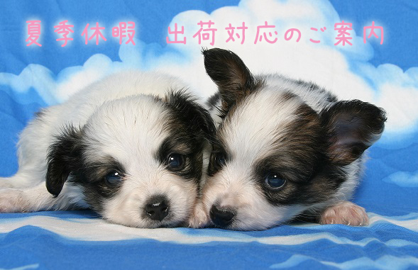 IMG_5814のコピー