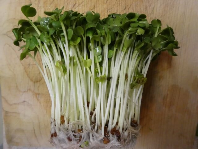 1baecf1c9adb81f0ee0abd2b653c724a_s