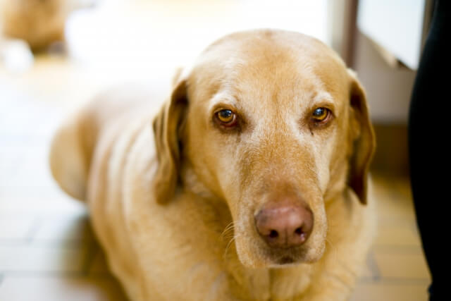 1d984babe0a4ce83981d9315d14dc64a_s