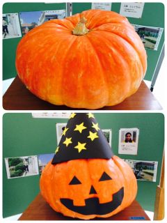 2014-09-09-19-50-37_deco