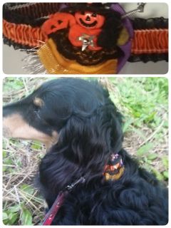 2014-10-30-18-28-04_deco