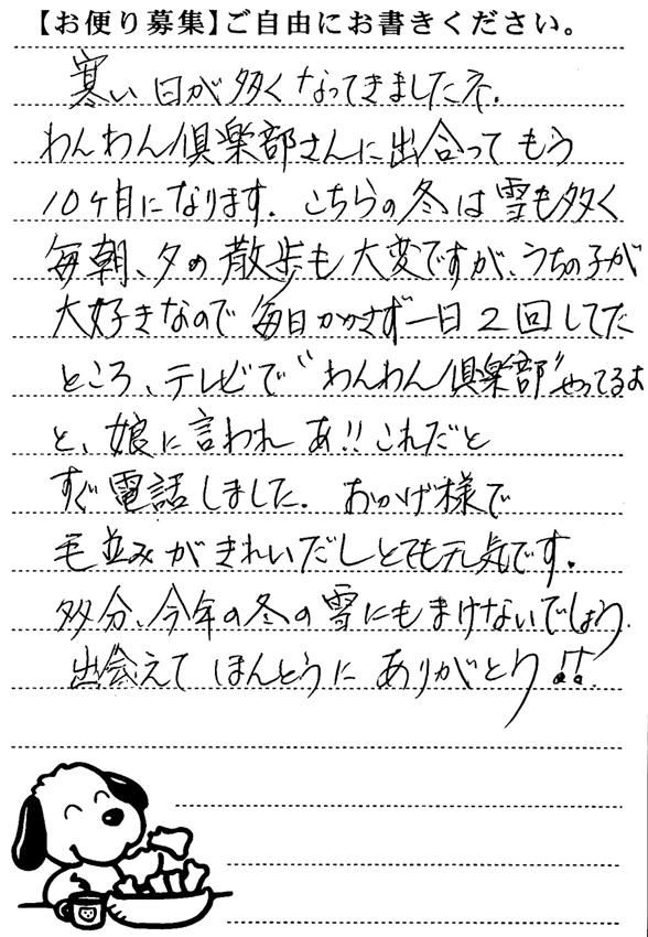 コロ 画像3