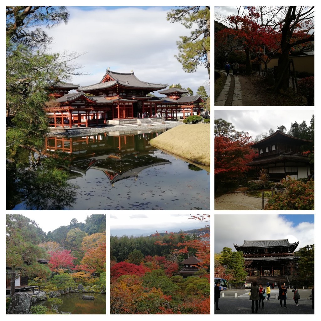 20181127_220821-COLLAGE