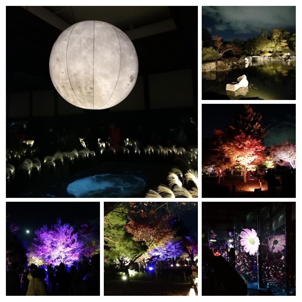 20181127_221411-COLLAGE