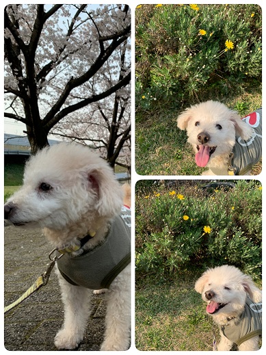 21-03-30-17-39-58-735_deco