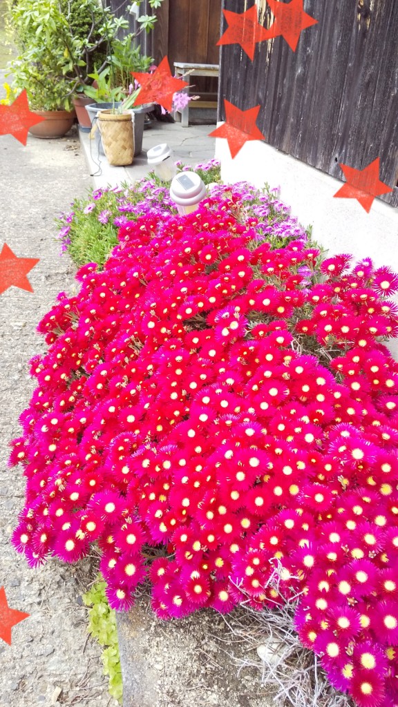 21-05-15-15-15-56-892_deco