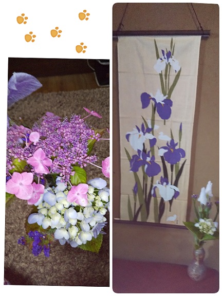 21-06-06-16-07-05-154_deco