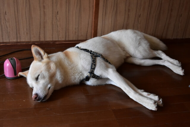 23257ab90f4d43f3923289de323942d5_s