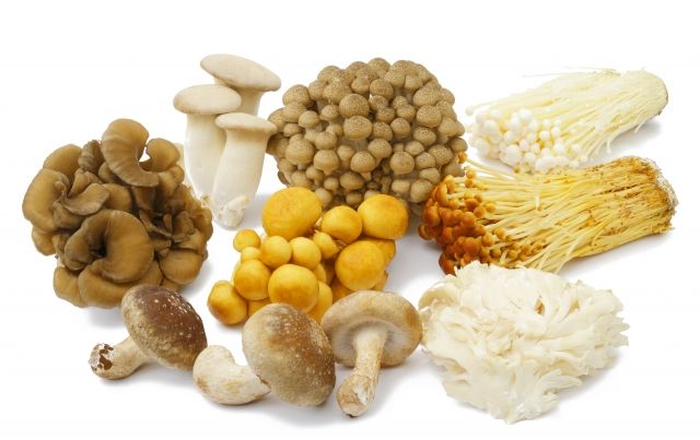 238f81ad3c260cc7d55022152f52acf9_s