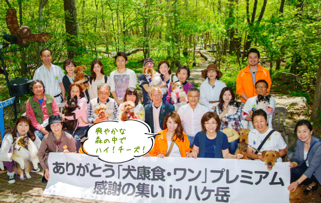 2423e772b98f73a7e46a8744bc445940