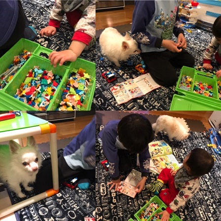 29231FE8-A1A0-42AC-B82B-470FFF21A308