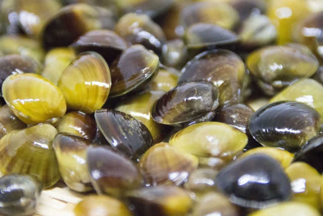 300ab43a27f779033d4d6ab2d0df1560_s