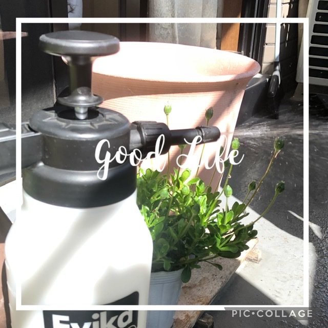 3108E91E-FA7F-4A8A-8689-B8B7A61FEDDC