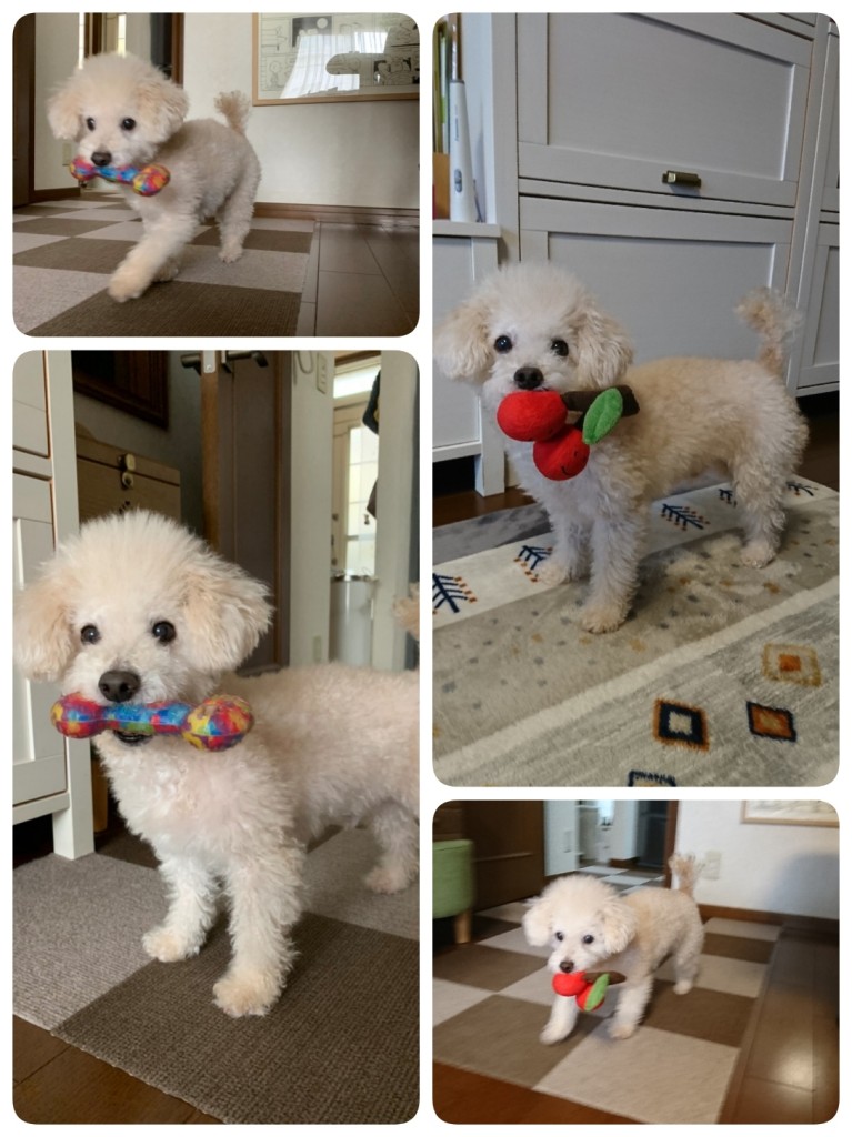 34ED0BEC-0A43-4542-A243-D7214C85B1C7