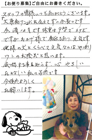 クッキー 画像1