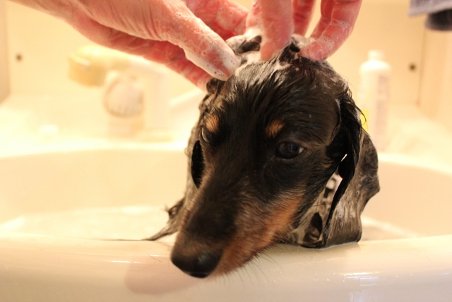 37fe50463906c3b317341c2435208922_s