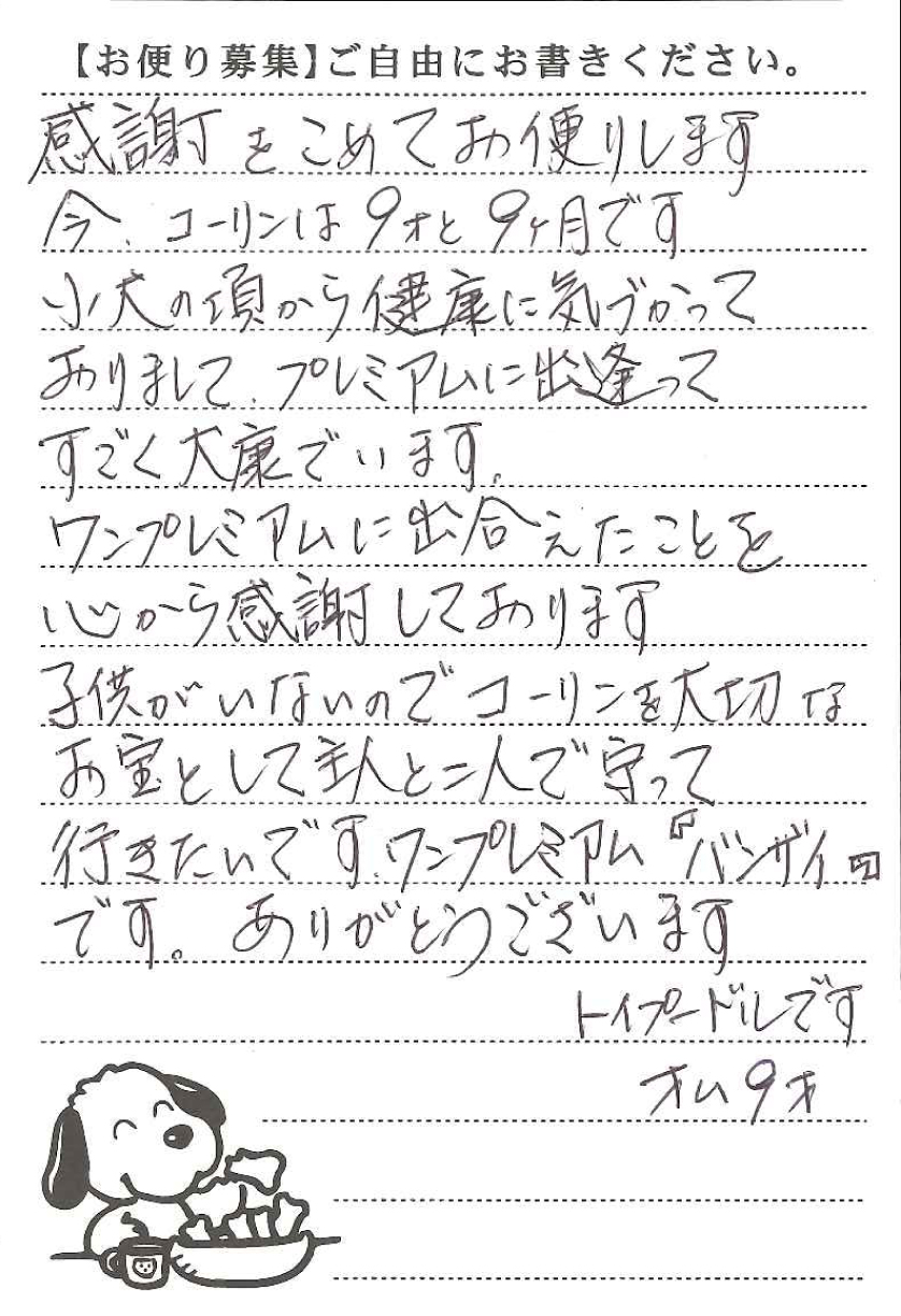 コーリンくん 画像1