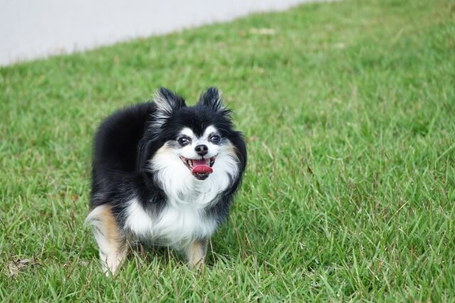 42101bd001d2b41c25ec0967e066a43e_s