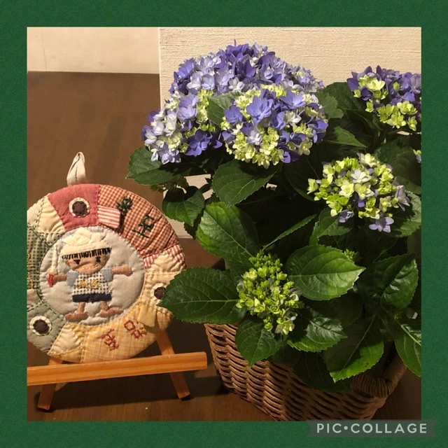 44DAA63C-26BF-48EF-AB6C-10AD5CFA2A3E