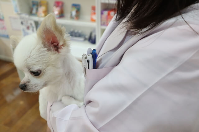 4769671032d3029444e9692e3360d796_s