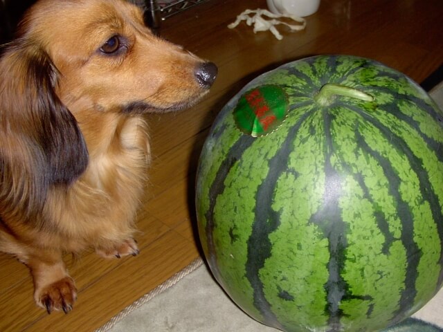 47ccf0cfd85a14f5c822107214653492_s