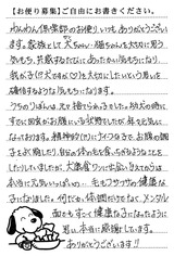りぼん 画像1