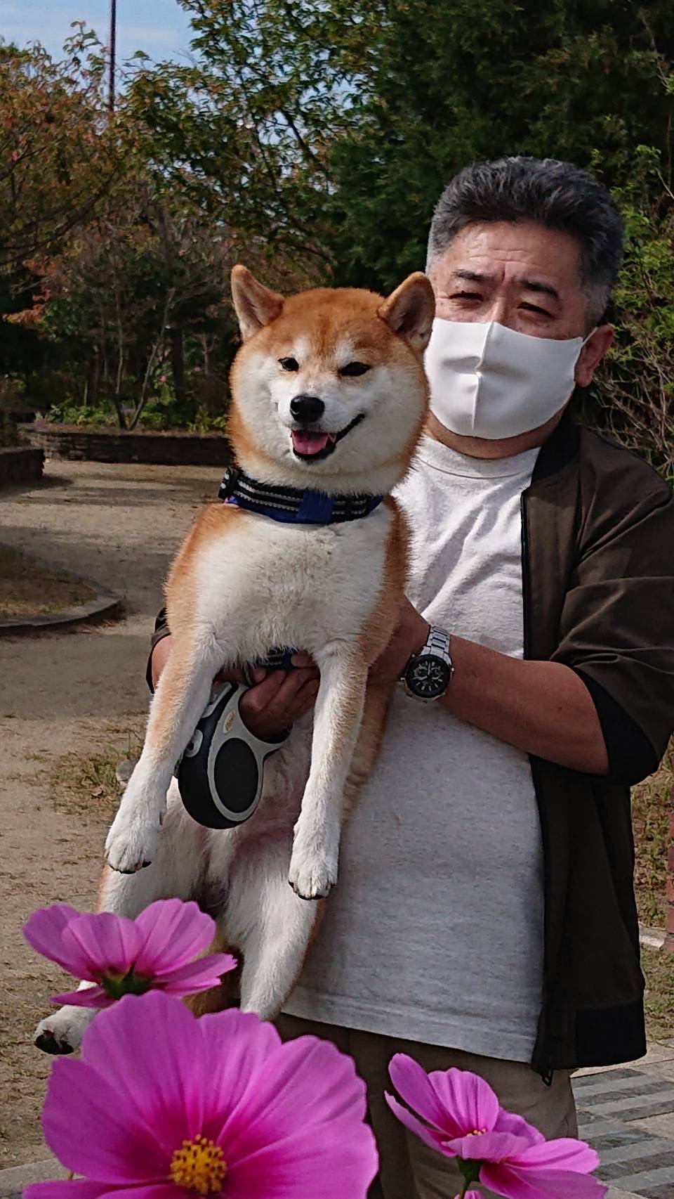 スライド画像