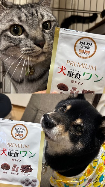 ありがとうございました。