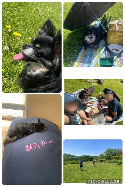 一緒におでかけ♪