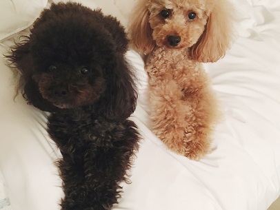 Processed with VSCO with f2 preset