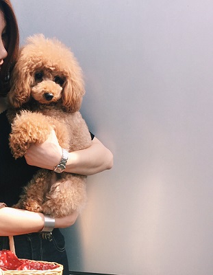 Processed with VSCO with c1 preset