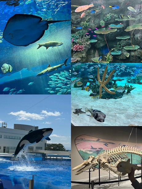 水族館